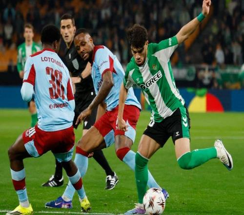 斯鲍跃升至,全球第,霍吉进阶至,完美体育,完美体育,WMSports,完美体育官网